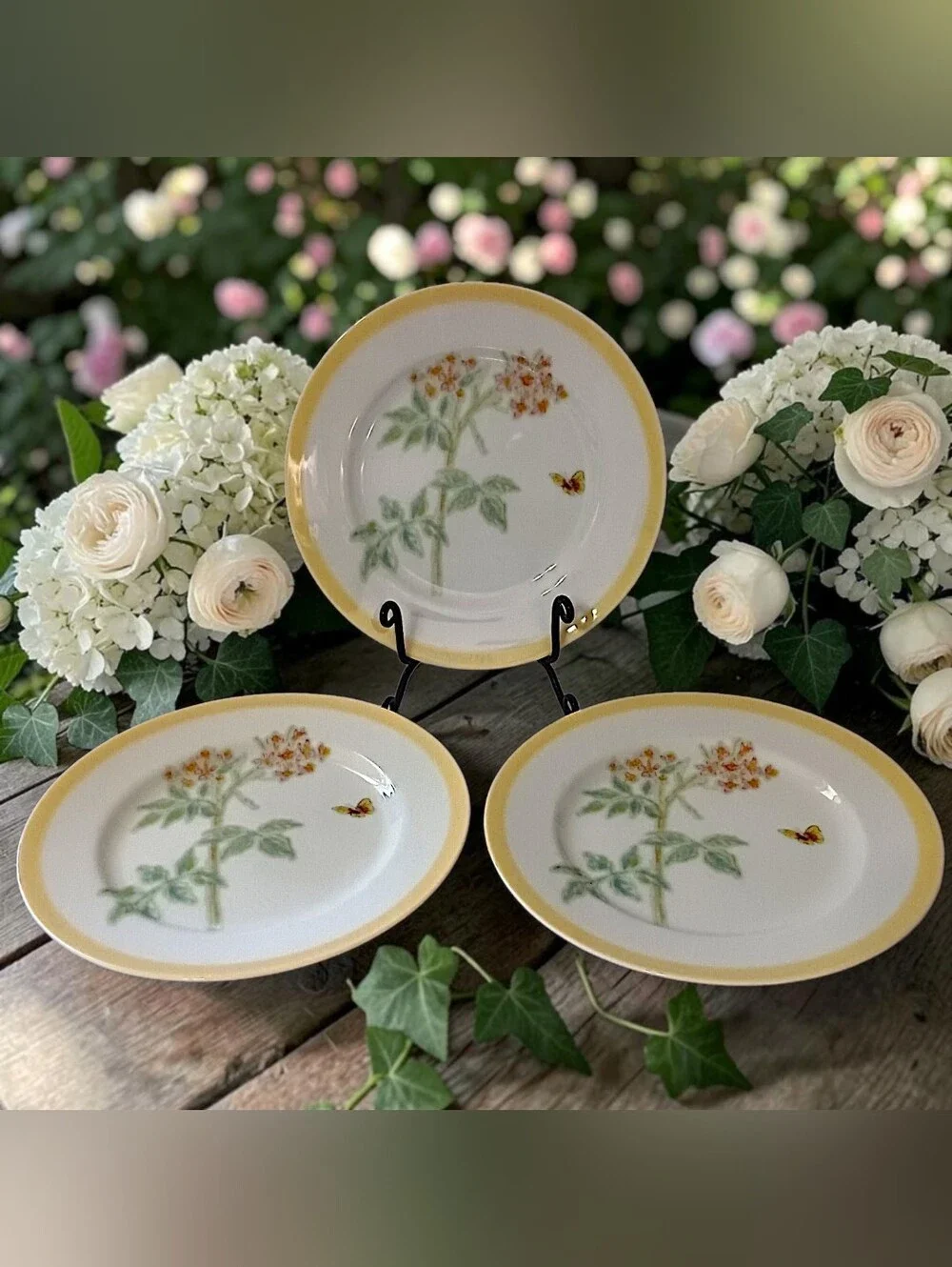 3 Williams Sonoma Flowering Herbs Salad Plates Yellow Band Wild Thyme Butterfly